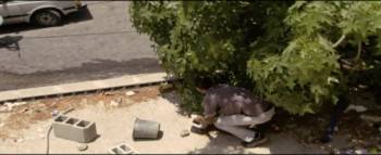 Screenshot 3 from Rock the Casbah (Full Movie)