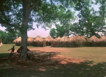 Screenshot 2 from Roots (Full Movie)