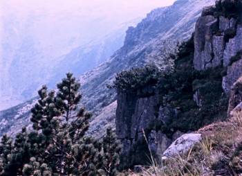 Screenshot 3 from Rübezahl - Herr der Berge (Full Movie)