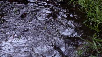 Screenshot 1 from Rufus (Full Movie)