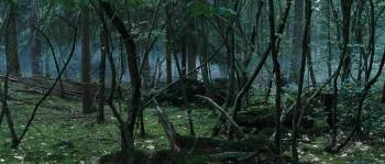 Screenshot 3 from Run Boy Run (Full Movie)