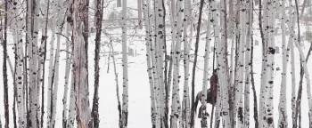 Screenshot 1 from Run for the High Country (Full Movie)