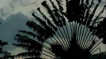 Screenshot 1 from Runt (Full Movie)