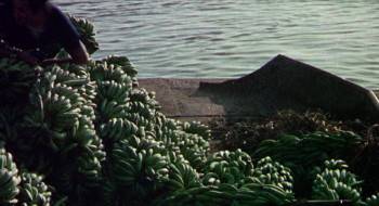 Screenshot 1 from S.O.S. Operation Bikini (Full Movie)