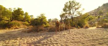 Screenshot 1 from Sa majesté Minor (Full Movie)