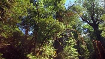 Screenshot 1 from Sacred Planet (Full Movie)