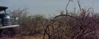 Screenshot 2 from Safari (Full Movie)