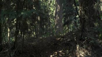 Screenshot 3 from Saints and Soldiers: Airborne Creed (Full Movie)