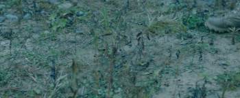 Screenshot 1 from Sanctioning Evil (Full Movie)