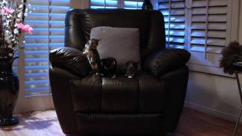 Screenshot 3 from Santa Claws (Full Movie)