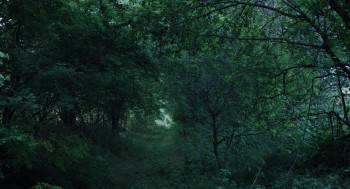 Screenshot 1 from Saptamana Mare (Full Movie)
