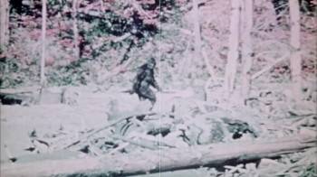 Screenshot 3 from Sasquatch: The Legend of Bigfoot (Full Movie)