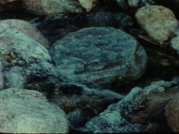Screenshot 2 from Scenes from the Life of Andy Warhol: Friendships and Intersections (Full Movie)