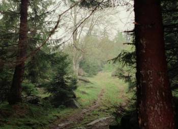 Screenshot 1 from Schneeweißchen und Rosenrot (Full Movie)