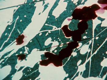 Screenshot 1 from Schramm (Full Movie)