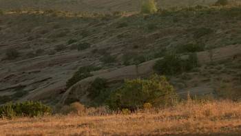 Screenshot 1 from Scorched (Full Movie)