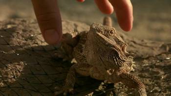 Screenshot 2 from Scorched (Full Movie)
