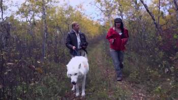 Screenshot 2 from Searching for Sasquatch 15: Chasing Legends Through Oregon's Inferno (Full Movie)