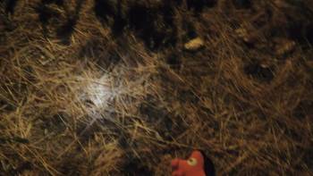Screenshot 3 from Second Chances (Full Movie)