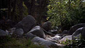 Screenshot 1 from Second Sight (Full Movie)