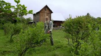 Screenshot 2 from Seed: The Untold Story (Full Movie)