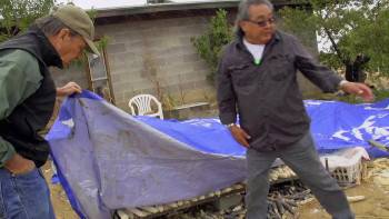 Screenshot 3 from Seed: The Untold Story (Full Movie)