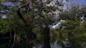 Screenshot 1 from Segurança Nacional (Full Movie)