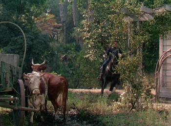 Screenshot 2 from Seminole (Full Movie)