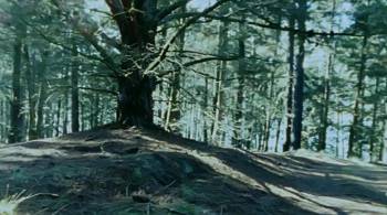 Screenshot 1 from Sensitive New Age Killer (Full Movie)