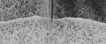 Screenshot 1 from Separated (Full Movie)
