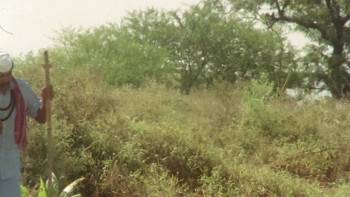 Screenshot 1 from Shame to Shame (Full Movie)