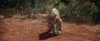 Screenshot 2 from Sheena (Full Movie)