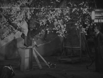 Screenshot 3 from Shooting Stars (Full Movie)