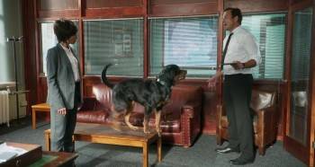 Screenshot 1 from Show Dogs (Full Movie)