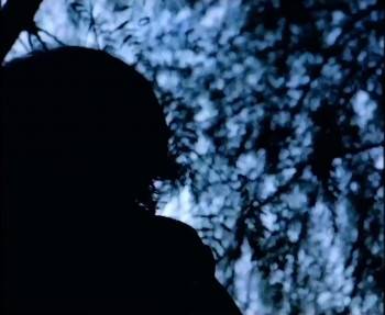 Screenshot 2 from Silence Is a Falling Body (Full Movie)