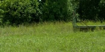 Screenshot 1 from Sins of the Father (Full Movie)