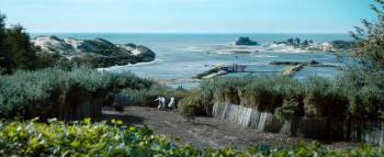 Screenshot 2 from Slack Bay (Full Movie)