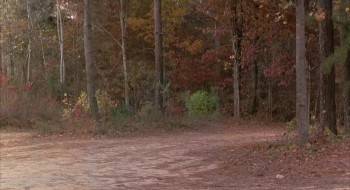 Screenshot 1 from Sleepaway Camp III: Teenage Wasteland (Full Movie)