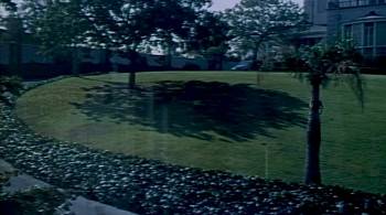 Screenshot 1 from Slightly Scarlet (Full Movie)