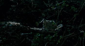 Screenshot 3 from Slither (Full Movie)