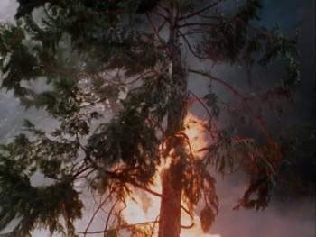 Screenshot 1 from Smoke Jumpers (Full Movie)