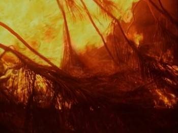 Screenshot 2 from Smoke Jumpers (Full Movie)