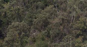 Screenshot 2 from Sniper (Full Movie)