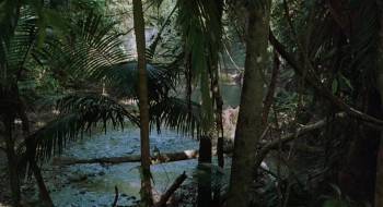 Screenshot 3 from Sniper (Full Movie)