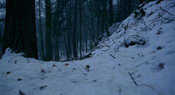 Screenshot 2 from Snow White: A Tale of Terror (Full Movie)