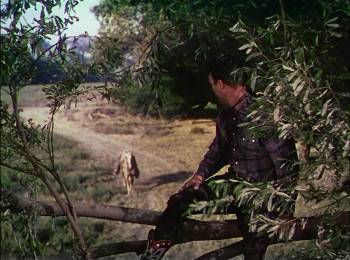 Screenshot 1 from Son of Paleface (Full Movie)