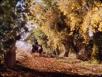 Screenshot 1 from Song of the South (Full Movie)