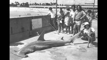 Screenshot 1 from South Beach Shark Club: Legends and Lore of the South Florida Shark Hunters (Full Movie)