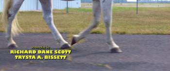 Screenshot 2 from Sparkle: A Unicorn Tale (Full Movie)