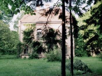 Screenshot 1 from Spider (Full Movie)